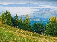 Mgła, Góry, Lasy, Panorama