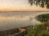 Mgła, Jezioro, Łódz, Szuwary