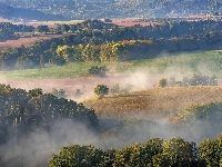 Pola, Drzewa, Wzgórza, Mgła