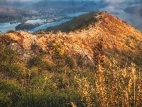 Mgła, Gory, Nowa Zelandia, Roys Peak, Roślinność, Jezioro Wanaka