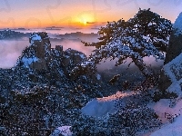 Mgła, Park Narodowy Bukhansan, Drzewa, Prowincja Gyeonggi-do, Sosna, Zima, Wschód słońca, Korea Południowa, Góra Dobongsan, Skały