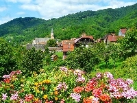 Góry, Miasteczko, Kwiaty