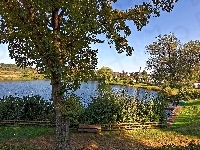 Jezioro, Miasteczko, Drzewa