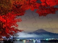 Oświetlone Miasto, Drzewo, Japonia, Wulkan Fudżi, Natura