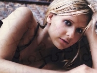 Sarah Michelle Gellar