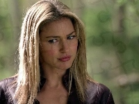 Miecz Prawdy, Tabrett Bethell