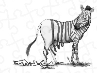 Śmieszne, Zebra