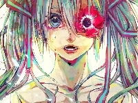 Vocaloid, Miku Hatsune