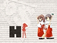 miotła, Suzumiya Haruhi No Yuuutsu, spódnica