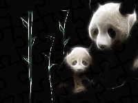 Panda, Misie, Fractalius