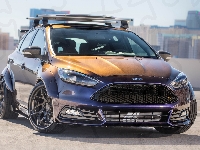 2017, Blood Type Racing, Ford Focus ST Mk3