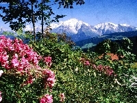 Mont Blanc, Góry, Francja