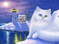 Kot, Morska, Narodzenie, Kolorowe, Boże, Biały, Oczy, Latarnia