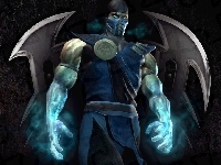 Mortal Kombat: Deadly Alliance, Sub-Zero