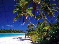 Morze, Antyle, Dżungla, Małe, Barbados, Plaża