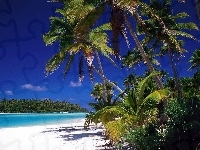 Morze, Antyle, Dżungla, Małe, Barbados, Plaża