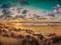 Plaża, Zachodnia Flandria, Belgia, Lombardsijde, Wydmy, Zachód słońca, Chmury, Morze Północne, Trawa