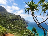 Morze, Góry, Wailua Bay, Hawaje, Zatoka, Palmy, Wyspa Kauai