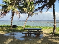Park, Morze, Palmy