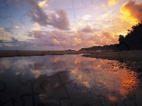 Plaża, Morze, Drzewa