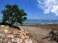 Morze, Plaże