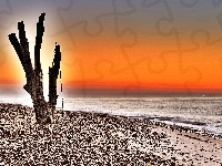 Morze, Konar, Zachod, Słonca, Plaża