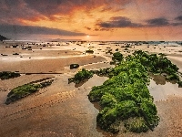 Morze, Skałki, Zachód, Słońca, Plaża