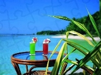Morze, Plaża, Czerwony i Zielony Drink