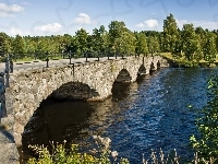 Most, Rzeka, Kamienny, Drzewa