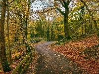 Park, Most, Staw