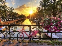 Most, Rzeka, Kwiaty, Amsterdam, Poranek, Rowery