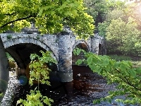Rzeka, Most, Drzewa