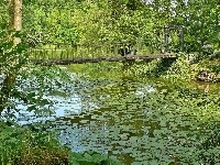Most, Park, Rzeka, Drzewa