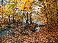 Mostek, Rzeczka, Drewniany, Jesień
