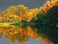 Mostek, Jezioro, Drzewa, Odbicie