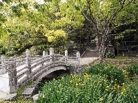 Mostek, Japonia, Ogród, Japoński, Roślinność