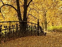 Mostek, Park, Jesienią, Aleja