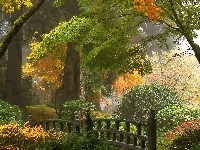 Mostek, Ogród, Park, Drzewa