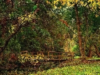 Mostek, Rajski, Park, Ptaki