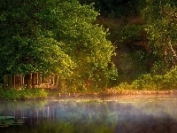 Mostek, Park, Mgła, Lato, Staw, Poranek