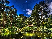 Mostek, Park, Staw, Anglia