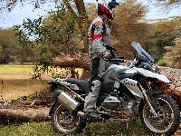 Motocyklista, Motocykl, BMW R1200GS, Drzewa