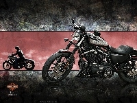 Motocykl, Harley-Davidson XL883N Iron, Motocyklista