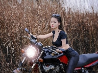 Kobieta, Okulary, Azjatka, Motor Honda, Trawy