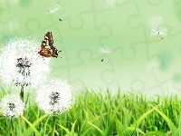 Motyl, Dmuchawce, Grafika 2D