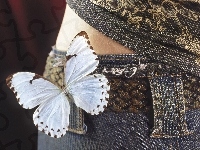 Jeans, Motyl, Pas