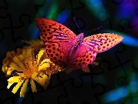 Kolorowy, Motyl, Kwiat