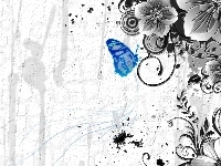 Kwiaty, Motyl, Tekstura
