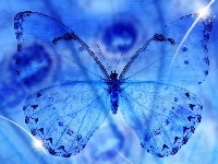 Tło, Motyl, Grafika