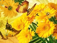 Motyle, Żółte, Gerbery, Art